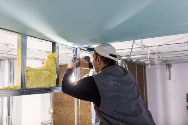 Best Geographic-Specific Insulation Services in Mitchellville, IA