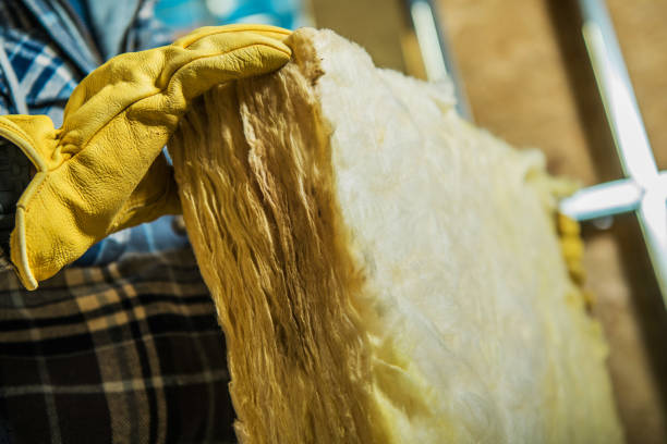 Best Insulation Maintenance and Repair in Mitchellville, IA