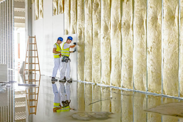 Best Commercial Insulation in Mitchellville, IA